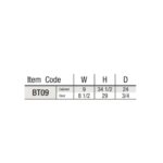 item code BT09