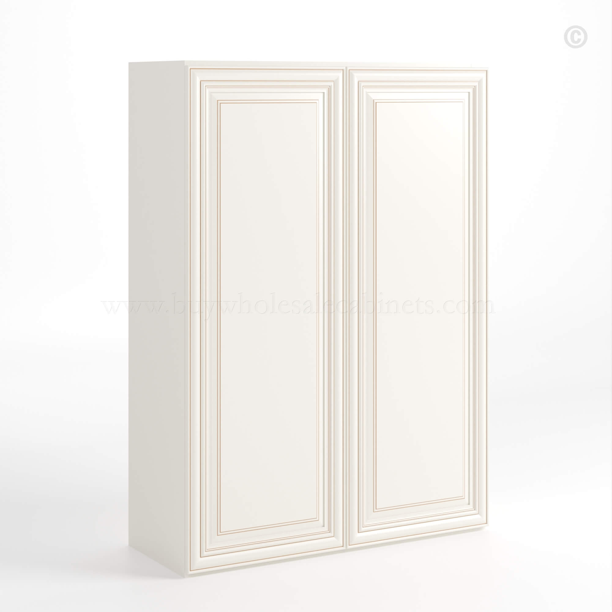 Charleston White Raised Panel 42 H Double Door Wall Cabinet