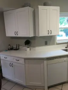 Robert Dunmyer kitchen with BWC cabinets - photo 4