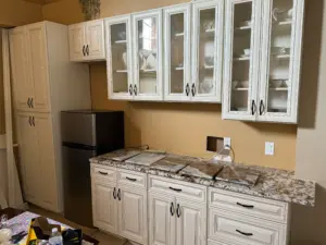 Sona Alden Fisher kitchen with BWC cabinets - photo 1